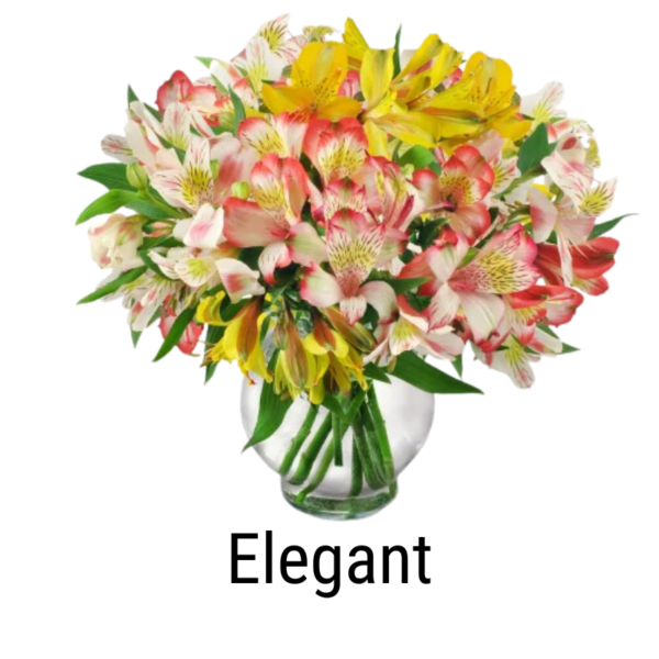 Radiant Peruvian Lilies - Image 3