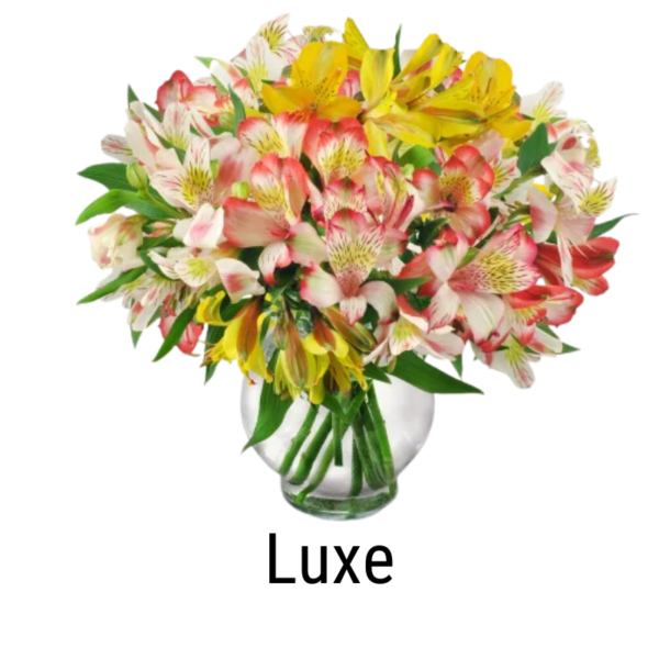 Radiant Peruvian Lilies - Image 4
