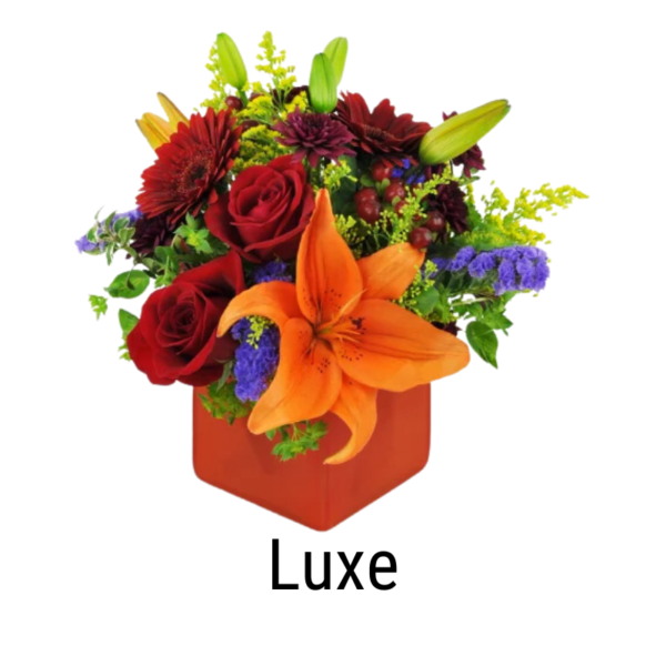 Harvest Radiance™ - Image 4